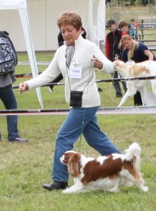 Exposition Canine Internationale de AUCH